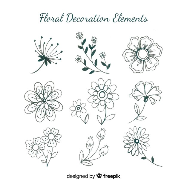 Elementos florales decorativos dibujados a mano