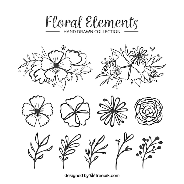 Elementos florales dibujados a mano con estilo de boceto