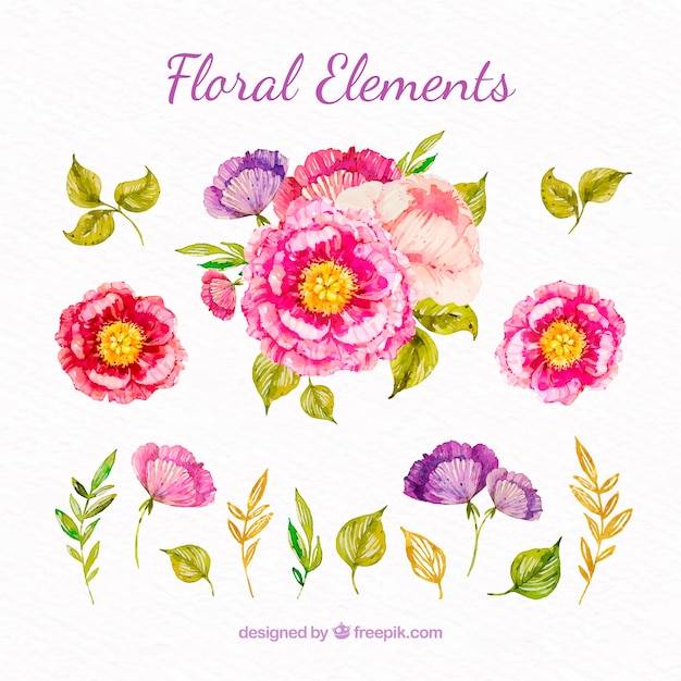 Elementos florales modernos en acuarela