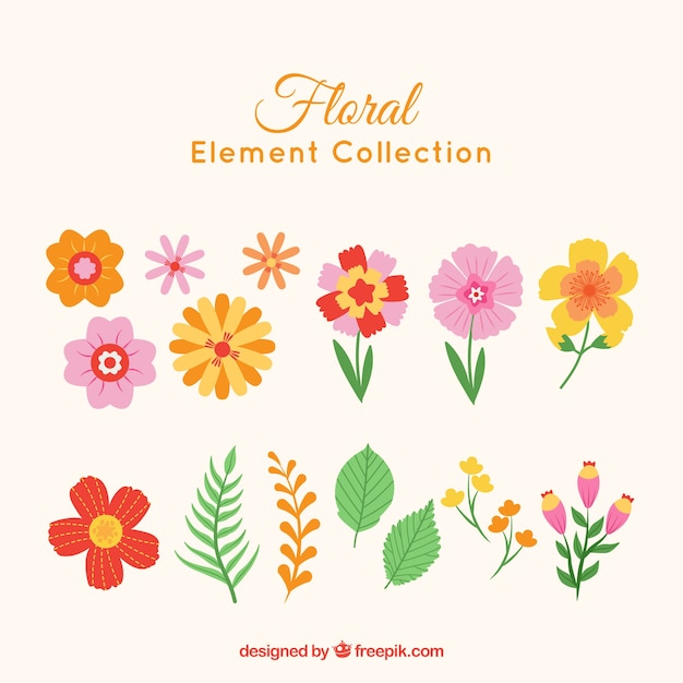 Elementos florales modernos con diseño plano