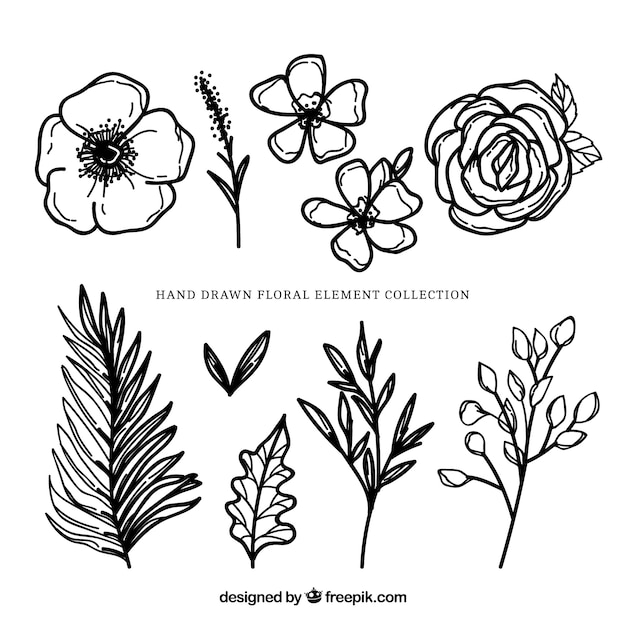 Vector gratuito elementos florales modernos con estilo de dibujo a mano