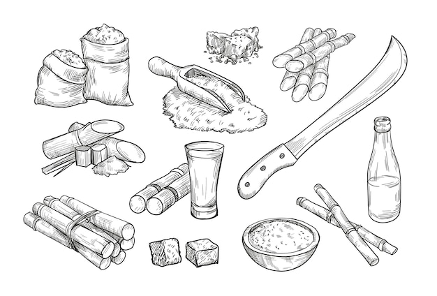 Elementos de la granja de caña de azúcar aislados colección de ilustraciones dibujadas a mano