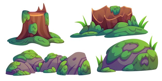 Elementos naturales del paisaje pantanoso