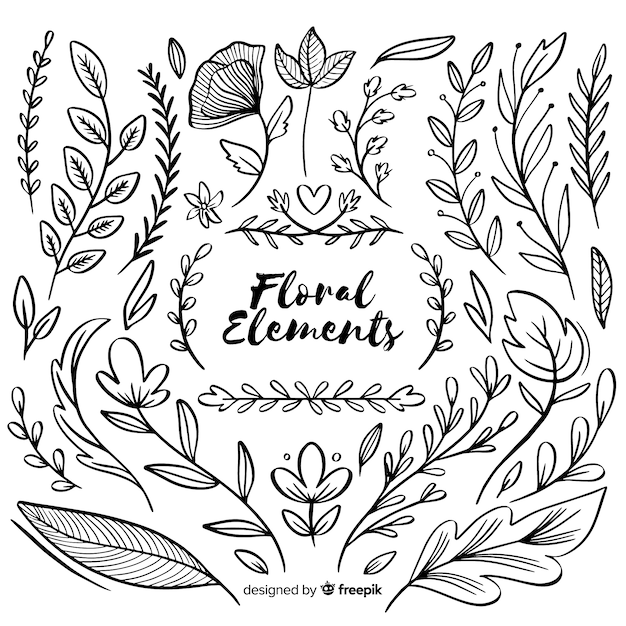 Elementos ornamentales florales dibujados a mano