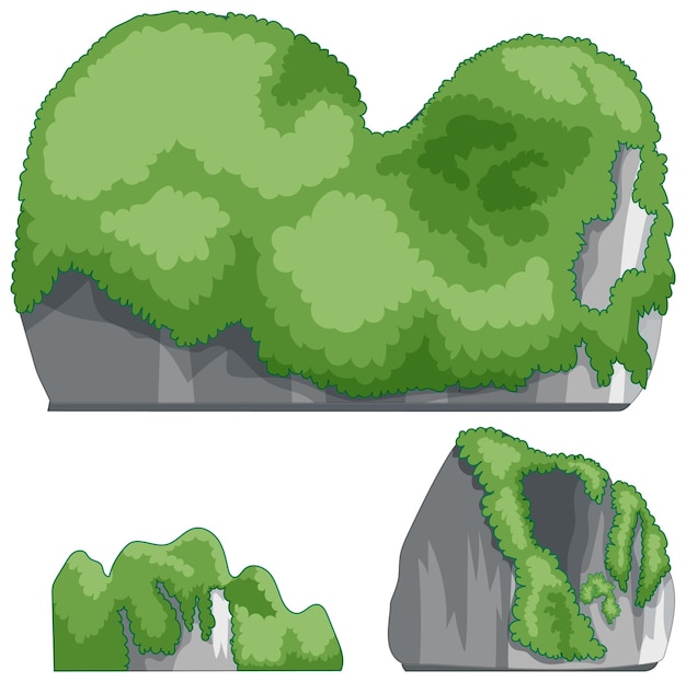 Elementos del paisaje vectorial verde exuberante