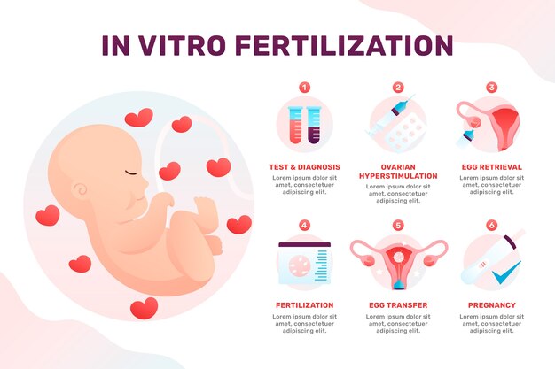 Embarazo gradiente fiv infografía