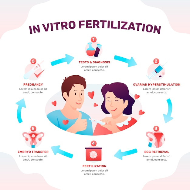 Vector gratuito embarazo gradiente fiv infografía