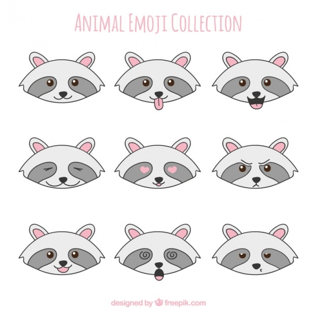 Emoticonos de mapache con diferentes expresiones faciales