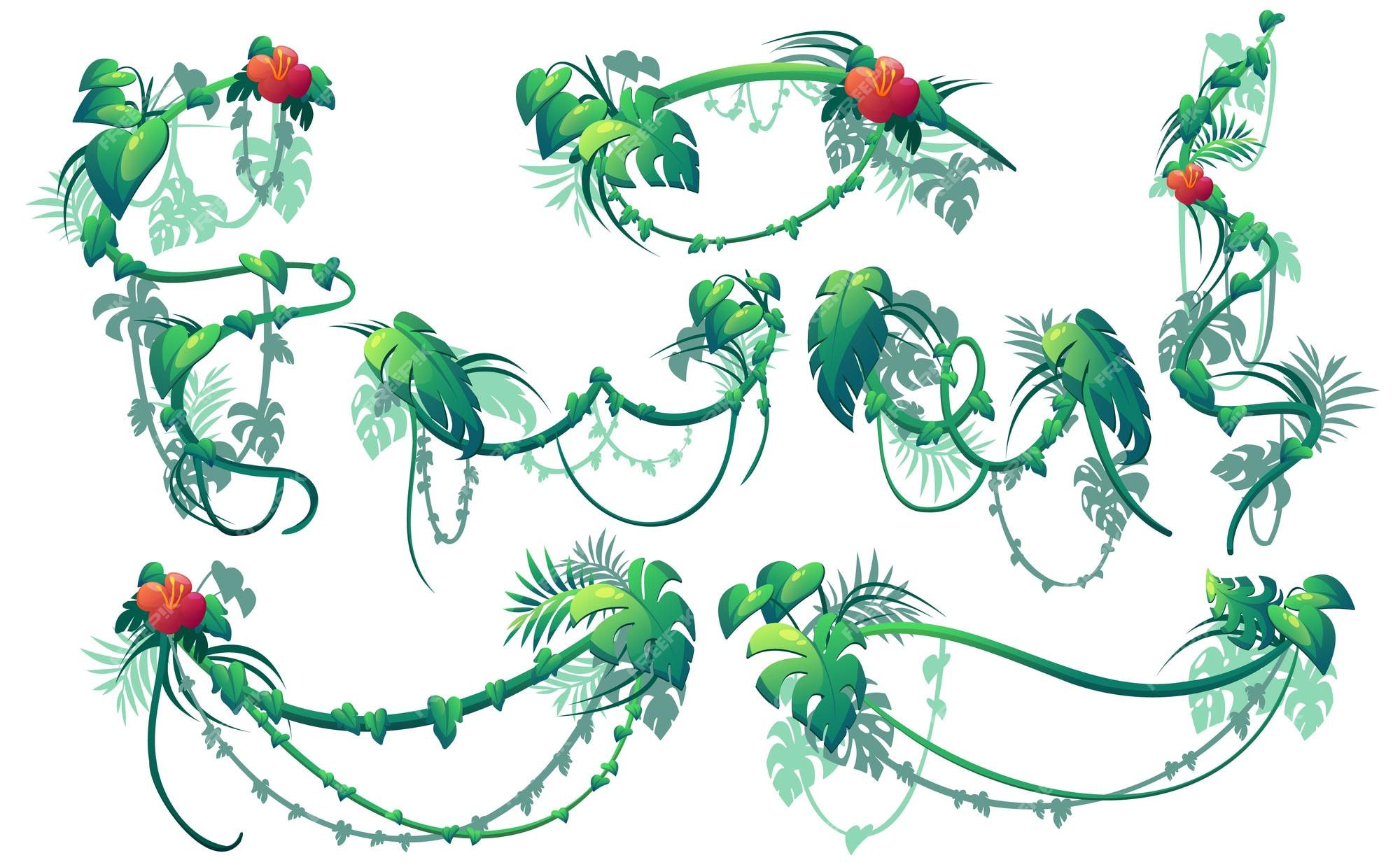 Enredadera de la selva plantas lianas con hojas verdes y flores rojas  conjunto de dibujos animados vectoriales de bordes de enredaderas de hiedra  trepadora ramas florales colgantes rizadas aisladas sobre fondo blanco |