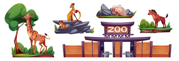 Entrada al zoológico y set de animales africanos