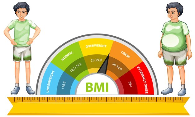 Escala de IMC con categorías de peso