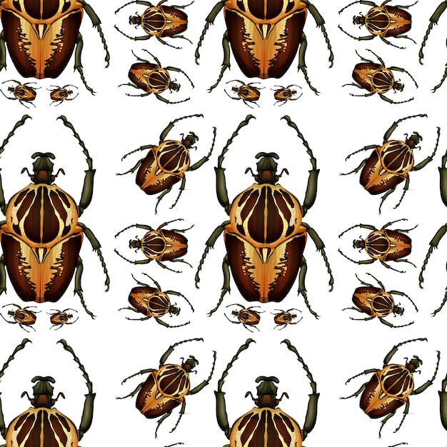 Escarabajo bug patrón sin costuras