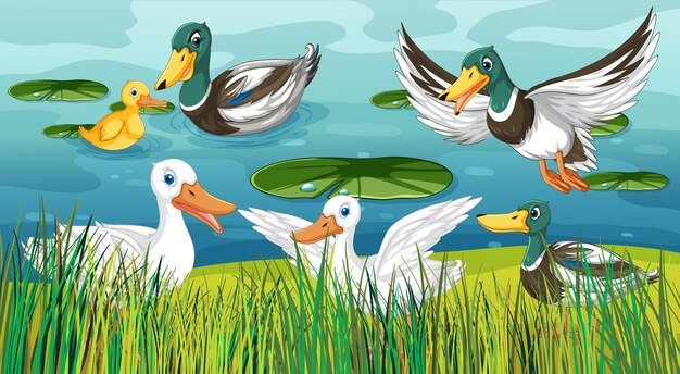 Escena al aire libre con patos de dibujos animados