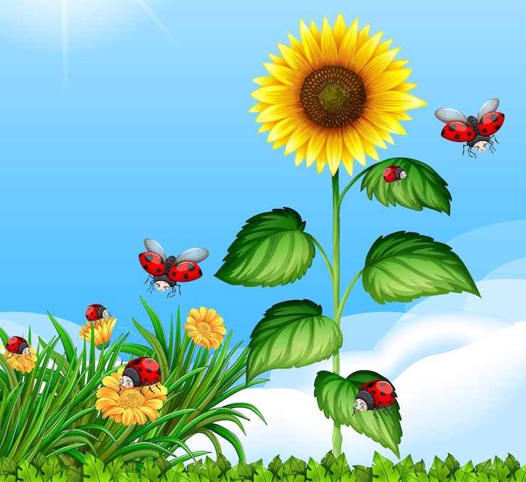 Vector gratuito escena en blanco con mariquitas en el jardín con gran girasol durante el día