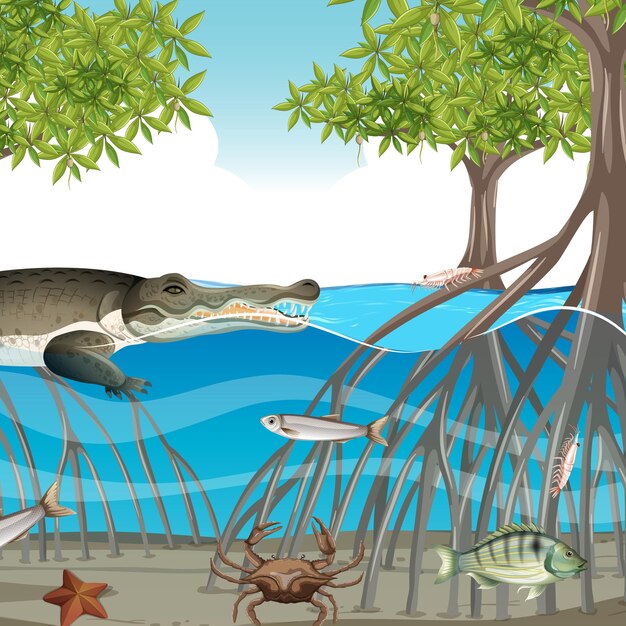 Escena de bosque de manglar durante el día con animales en el agua.