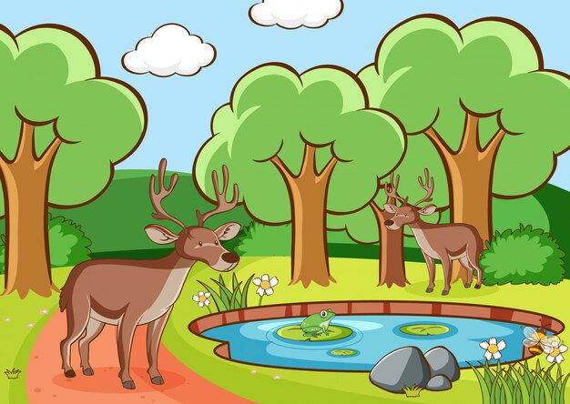 Escena con ciervos en bosque