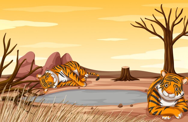 Escena de control de la contaminación con tigres tristes en campo
