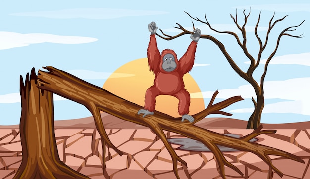 Escena de deforestación con chimpancé