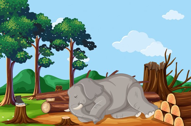 Escena de deforestación con elefante muriendo