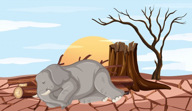 Escena de deforestación con elefante y sequía