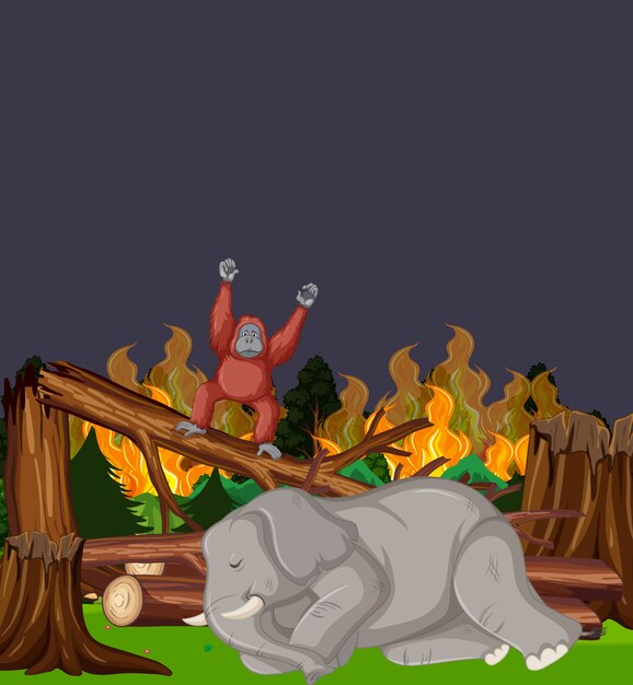 Escena de deforestación con elefantes e incendios forestales