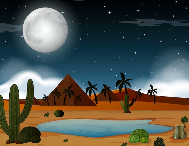 Una escena del desierto en la noche.