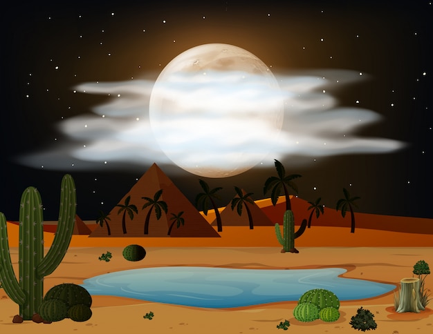 Una escena del desierto en la noche.