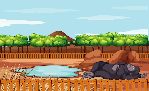Escena con gorila durmiendo en el suelo.