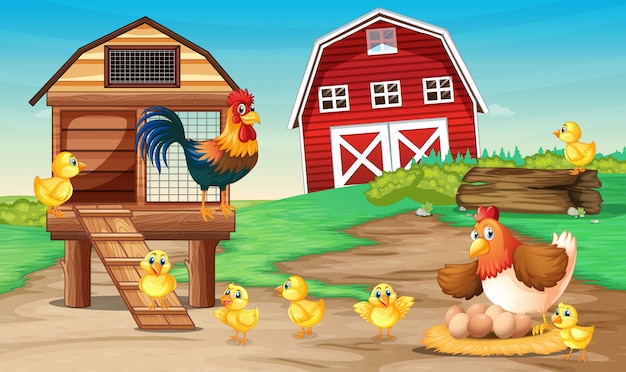 Vector gratuito escena de granja con gallinas