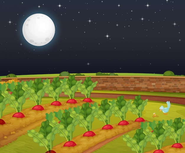 Vector gratuito escena de granja de zanahoria con luna grande en la noche