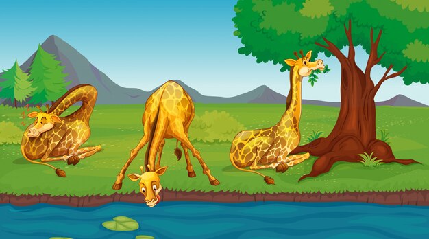 Escena con jirafas bebiendo agua del río