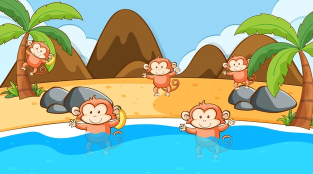 Escena con monos en el mar