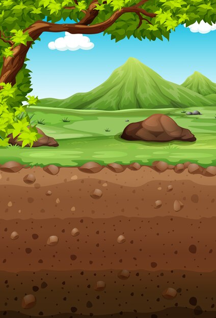 Escena de la naturaleza con campo y subterráneo.