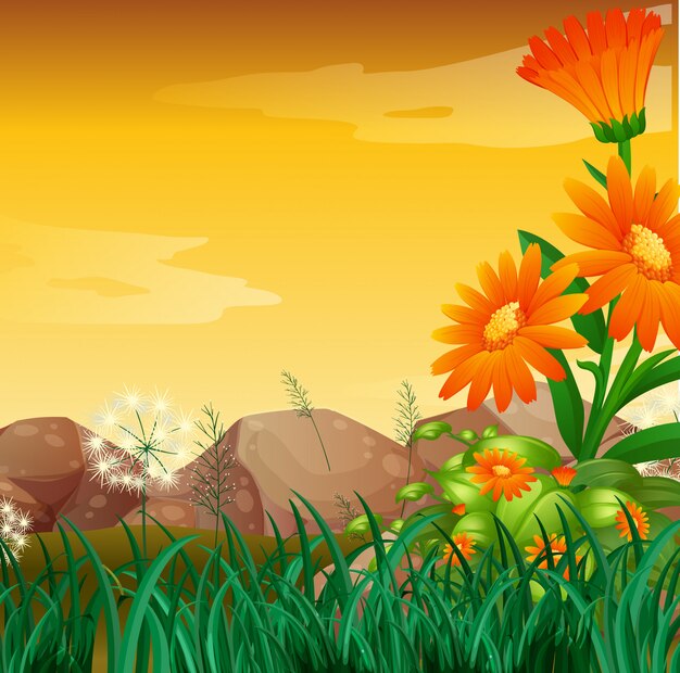 Escena de la naturaleza con jardín de flores al atardecer