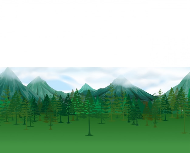 Escena de la naturaleza con pinos y montañas.