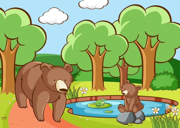 Escena con osos en bosque