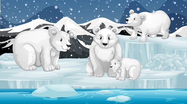 Escena con osos polares en hielo