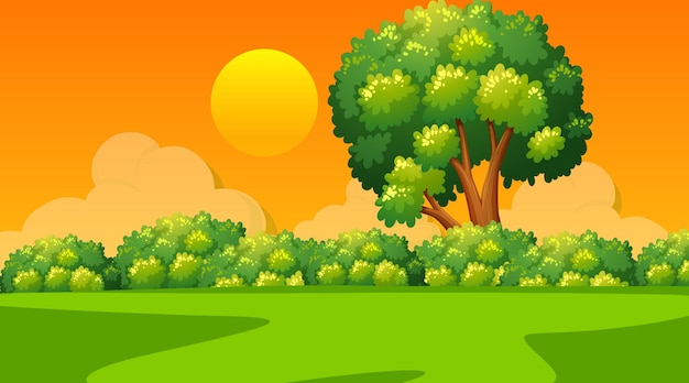 Vector gratuito escena de paisaje en blanco del parque natural al atardecer