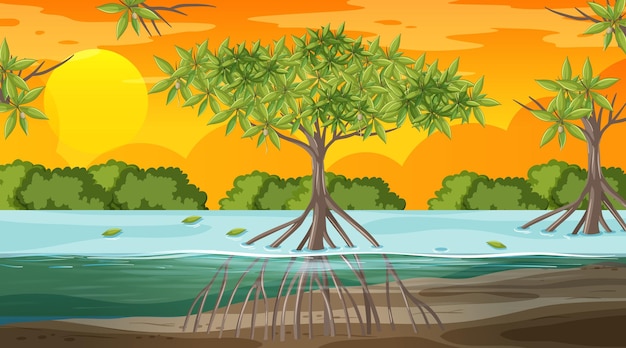 Vector gratuito escena de paisaje de bosque de manglar al atardecer