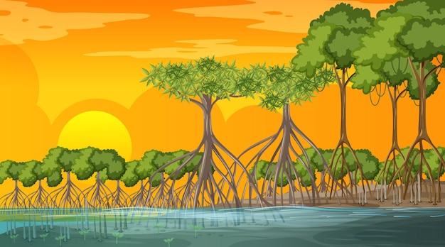 Vector gratuito escena de paisaje de bosque de manglar al atardecer