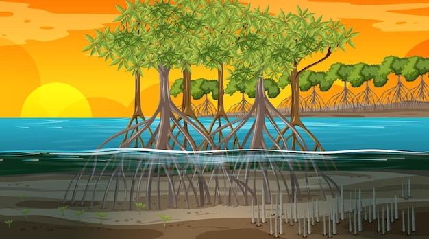 Vector gratuito escena de paisaje de bosque de manglar al atardecer