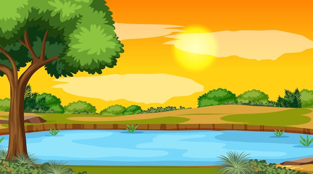 Escena de paisaje de bosque con río y sol bajando