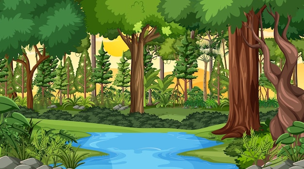 Vector gratuito escena del paisaje forestal al atardecer con muchos árboles diferentes