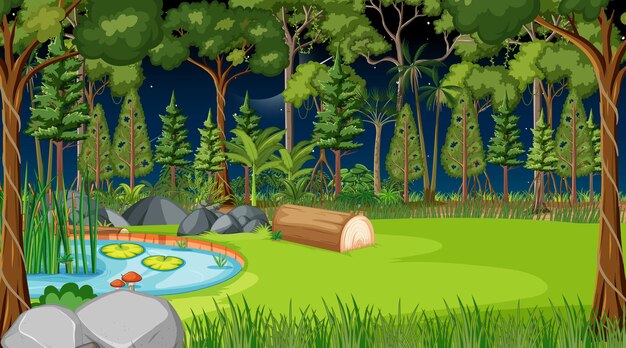 Escena del paisaje forestal en la noche con muchos árboles.