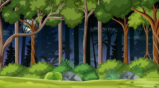 Vector gratuito escena del paisaje forestal en la noche con muchos árboles.