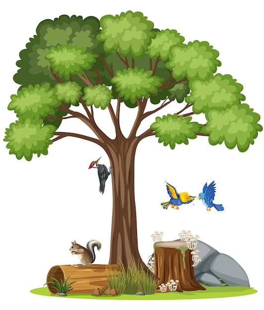 Escena con pájaros volando junto al árbol.