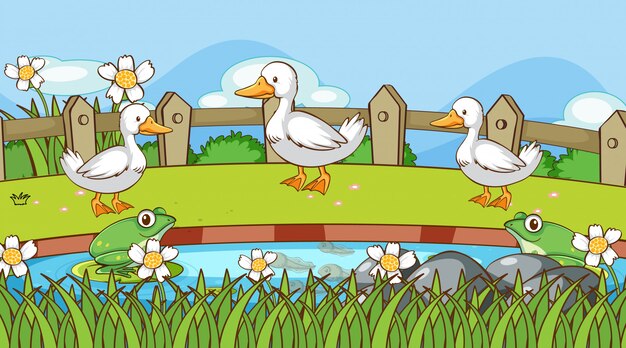 Escena con patos y ranas junto al estanque