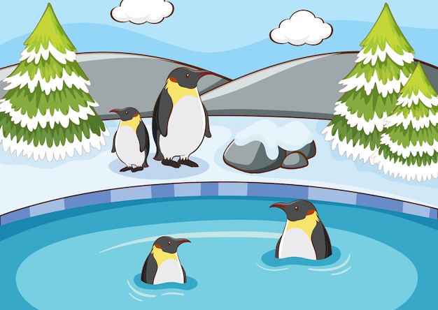 Vector gratuito escena con pingüinos en invierno