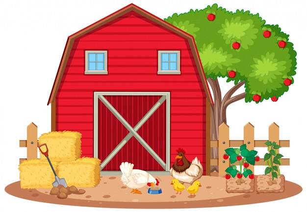 Escena con pollos y verduras en la granja.