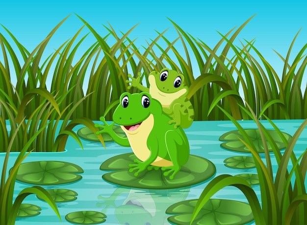 Escena del río con la rana feliz en la hoja | Vector Premium